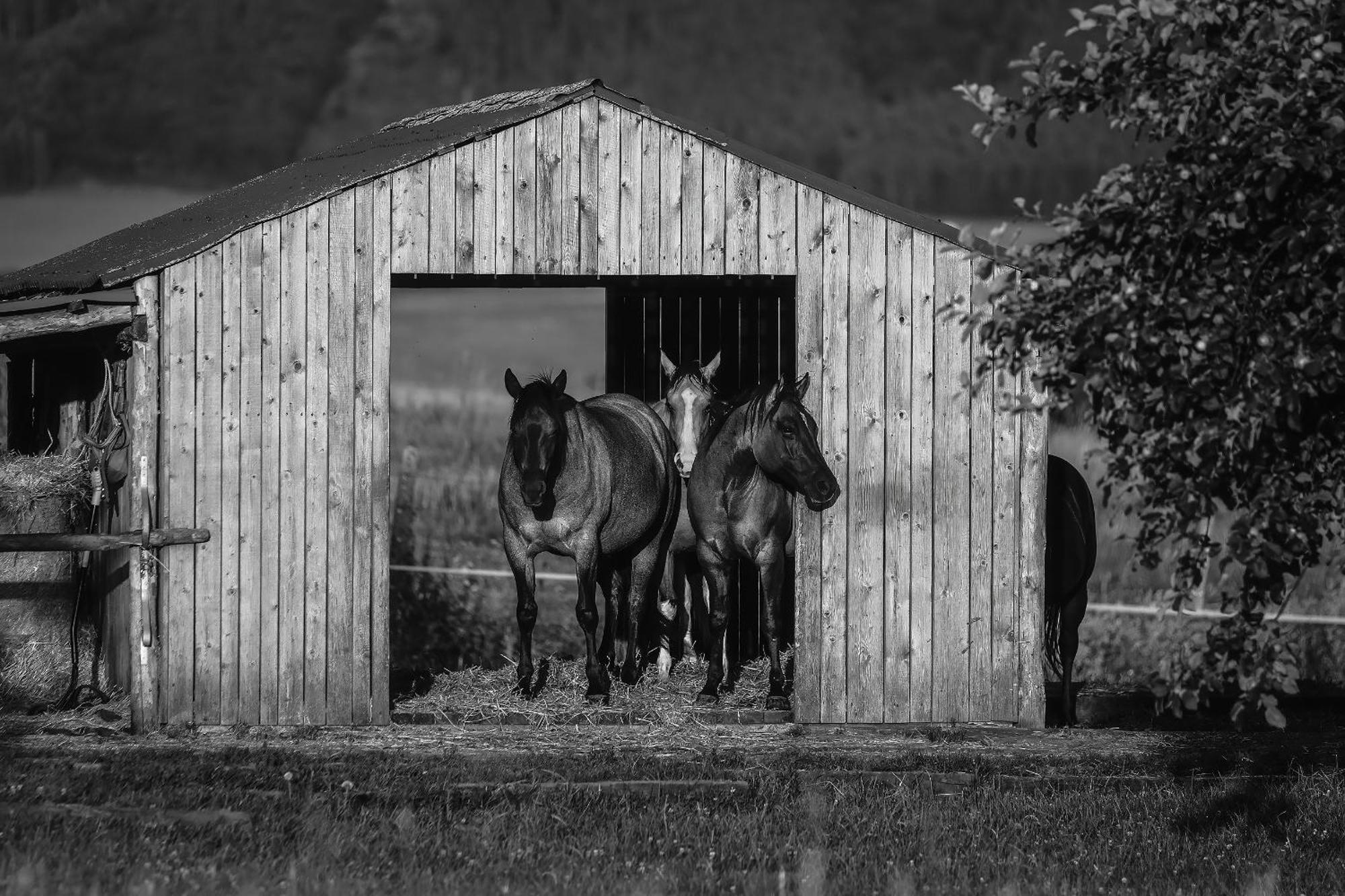 Apartmán Ranč Martin Exteriér fotografie