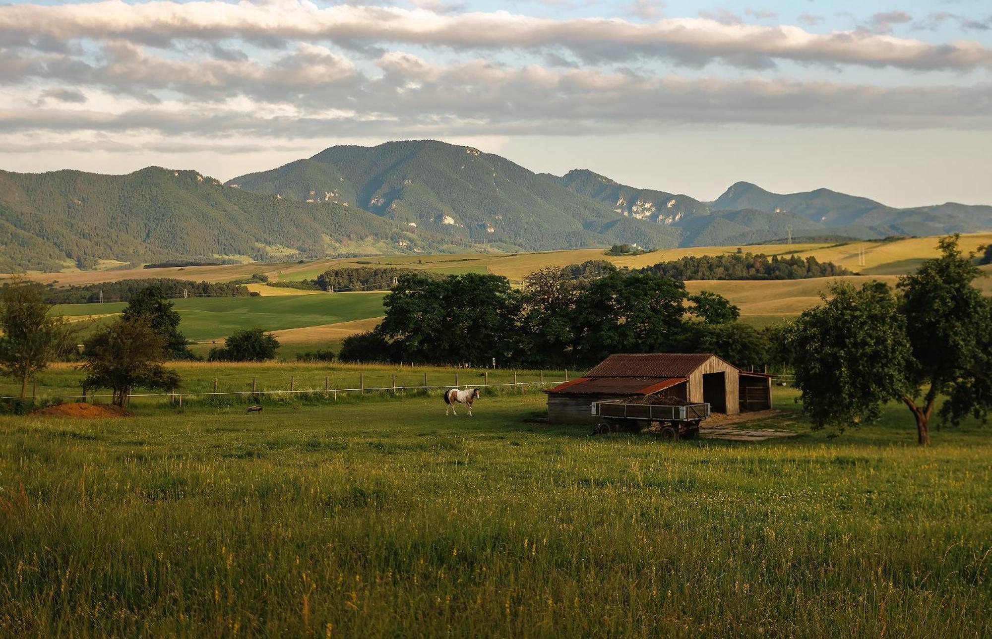 Apartmán Ranč Martin Exteriér fotografie